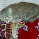 Por Que os Gatos Ronronam? A Ciência Explica